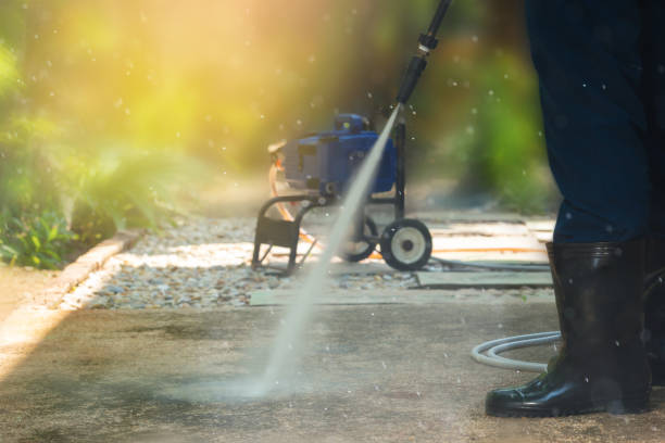 Animal Enclosure Cleaning in Saddle Rock, NY